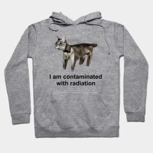 I Am Contaminated With Radiation Funny Cat Meme Shirt / Ironic Shirt / Weirdcore Clothing Hoodie